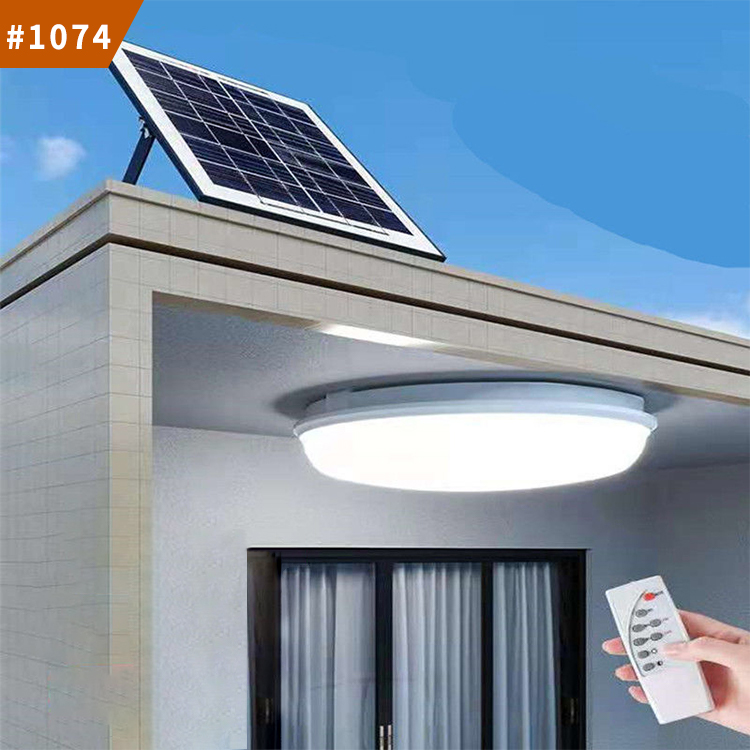 waterproof outdoor ceiling light