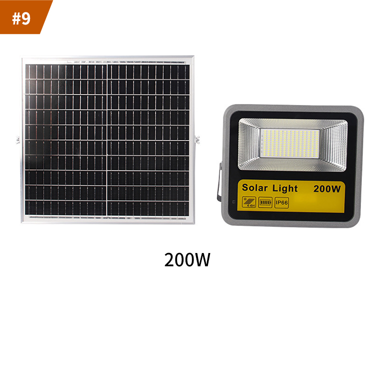 AMJ-PAL-0009
