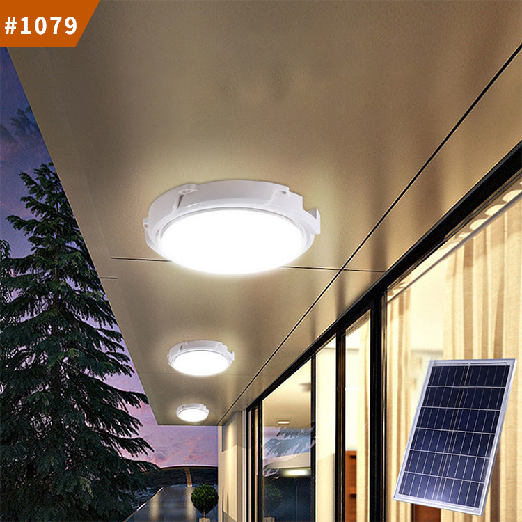 modern outdoor ceiling light