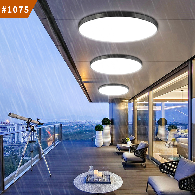 outdoor waterproof ceiling light